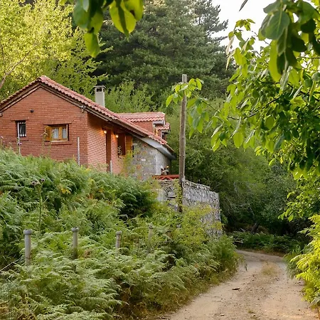 Escape In The Forest, Cosy Chalet With Cinema Αλαγονία