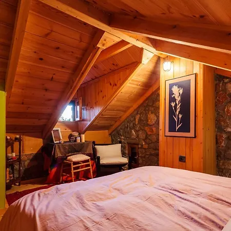 Escape In The Forest, Cosy Chalet With Cinema *