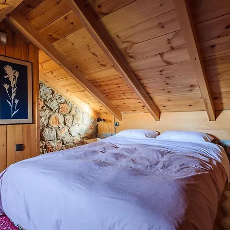 Escape In The Forest, Cosy Chalet With Cinema Apartment