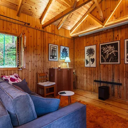 Escape In The Forest, Cosy Chalet With Cinema Alagonia